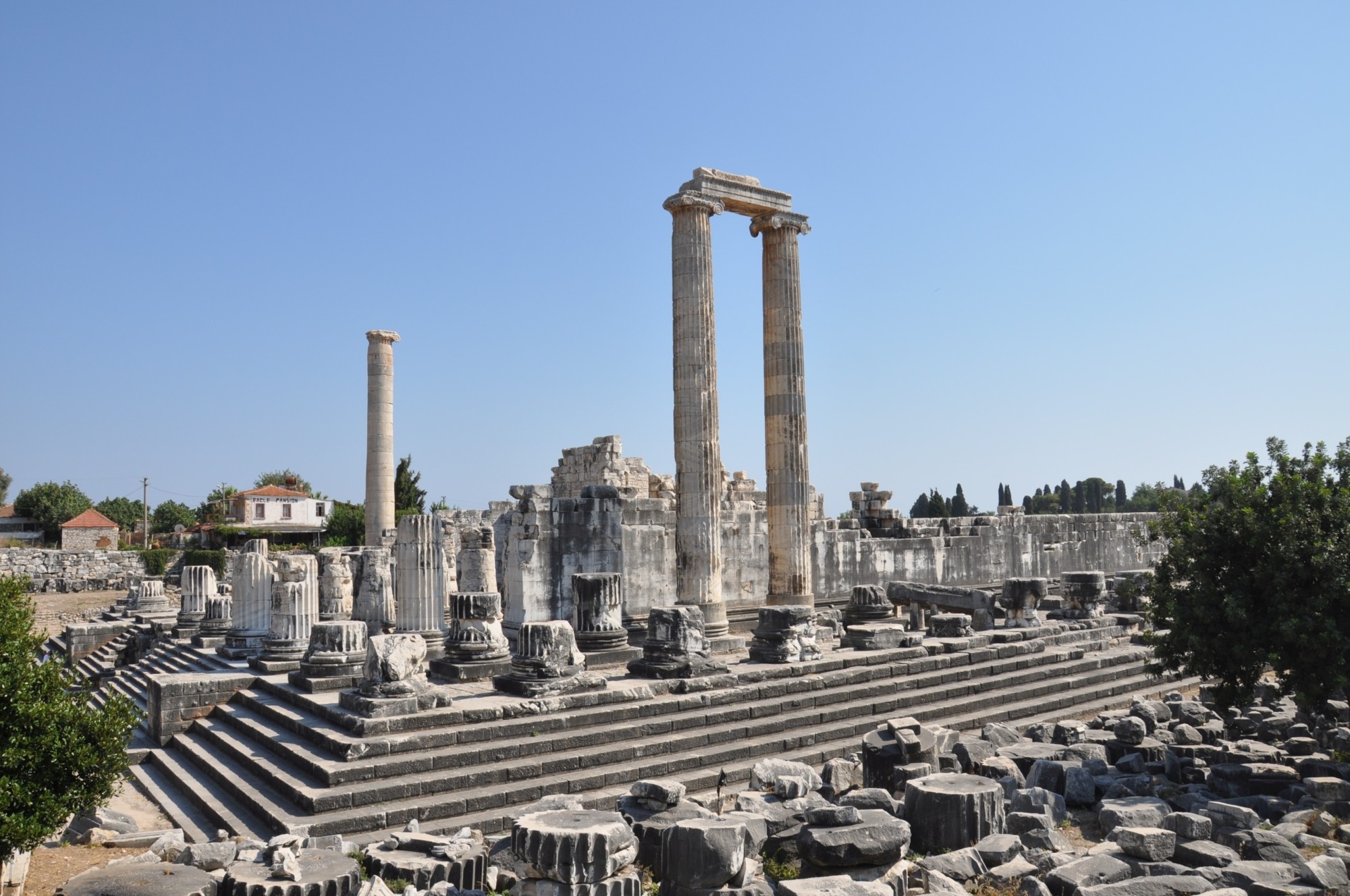 The towering Ionic columns of the Temple of Apollo at Didyma rising above the ruins under a clear sky.